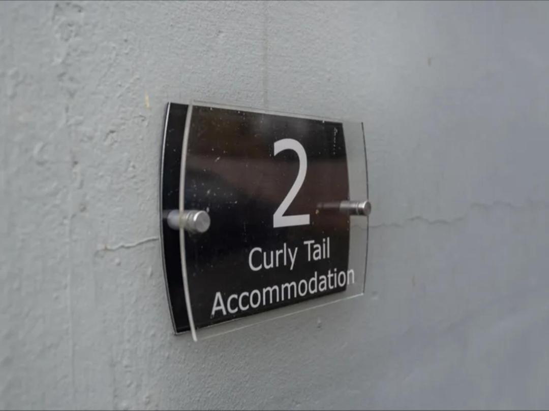 Curly Tail Accommodation بيشوب كاسل المظهر الخارجي الصورة